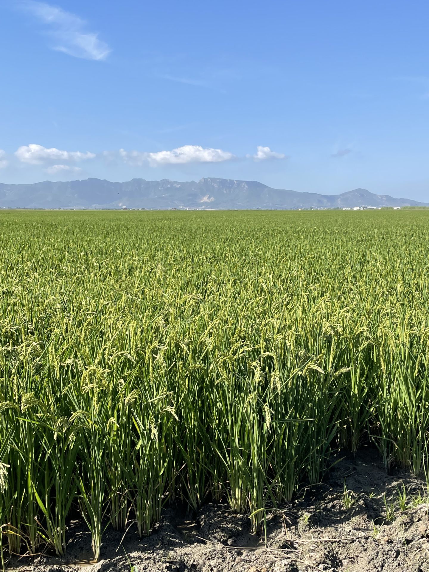 Customize high cuality personalized Spanish courses adapted to students needs and interests at the best Barcelona Language School